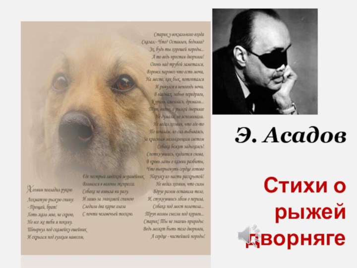 Стих о рыжей дворняге асадова текст. Стихи о рыжей собаке э.Асадова. Рыжая собака стих Эдуарда Асадова.