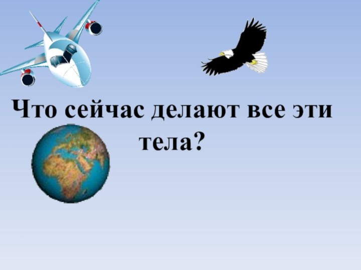 Что сейчас делают все эти тела?