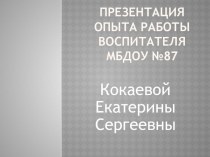 Презентация опыта работы Воспитателя ДОУ № 87