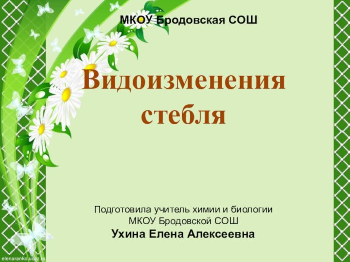 Видоизменения стебляМКОУ Бродовская СОШПодготовила учитель химии и биологииМКОУ Бродовской СОШУхина Елена Алексеевна