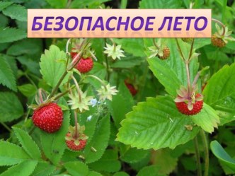 Внеклассное мероприятие: Безопасное лето