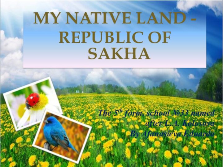 My NATIVE LAND -REPUBLIC OF SAKHAThe 5th form, school №33 named after L.A. KolosovaBy Afanasieva Eduarda