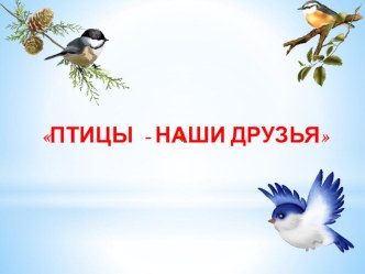 Презентация Птицы - наши друзья
