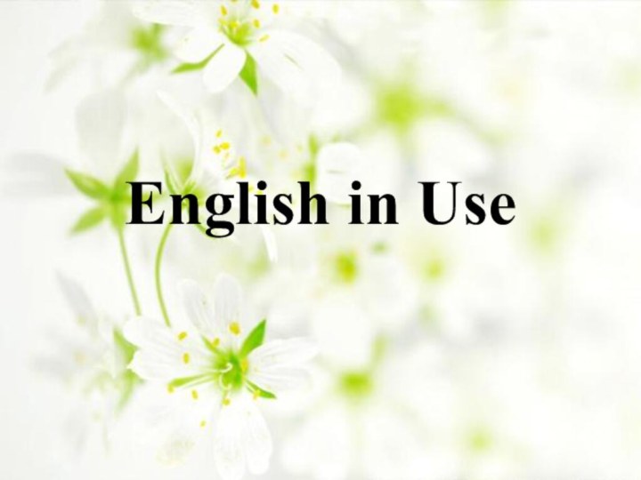 English in Use