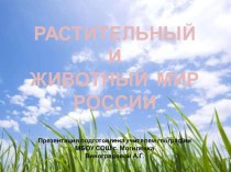Презентация по географии на тему Растительный и животный мир России, 8 класс