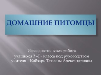 Презентация исследовательской работы по теме Домашние питомцы