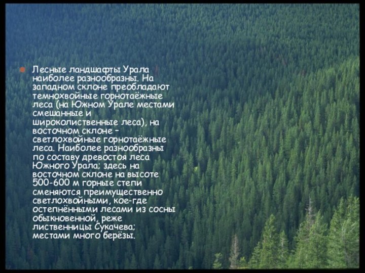 Лесные ландшафты Урала наиболее разнообразны. На западном склоне преобладают темнохвойные горнотаёжные леса