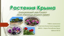 Презентация по окружающему миру на тему Растения Крыма