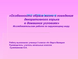 Особенности образа жизни и поведения декоративного хорька в домашних условиях