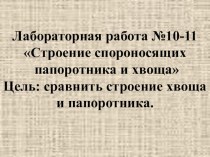 Лабораторная работа по биологии Строение папоротника и хвоща (5 класс)