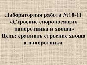 Лабораторная работа по биологии Строение папоротника и хвоща (5 класс)