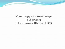 Презентация Окружающий мир Пернатые изобретатели