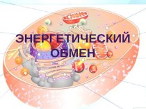 Презентация по биологии Энергетический обмен