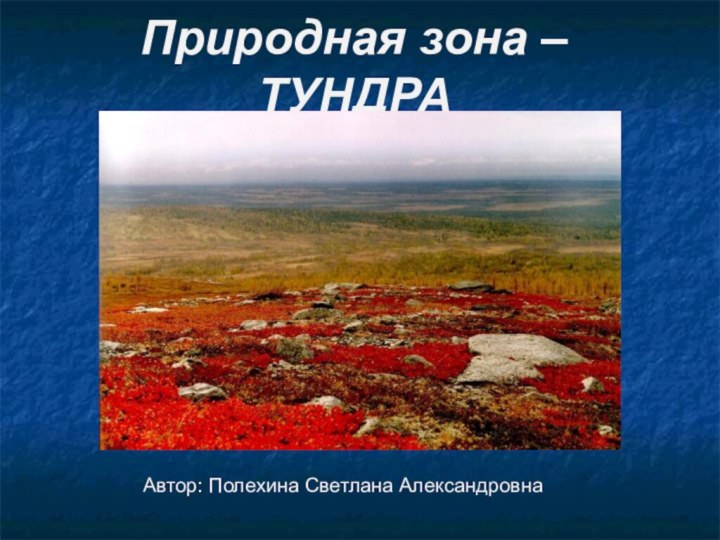 Природная зона – ТУНДРААвтор: Полехина Светлана Александровна