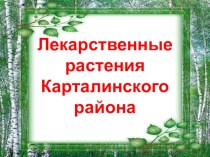 Презентация Лекарственные растения Карталинского района Челябинской области