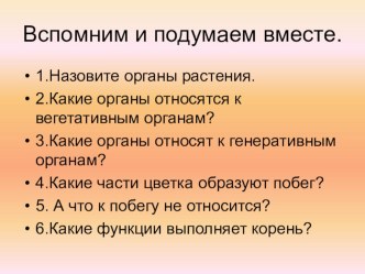 Презентация по биологии на тему Корень. Внешнее и внутреннее строение корня.(6 класс)