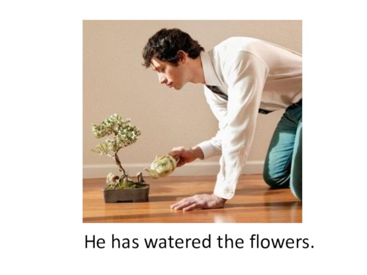 He has watered the flowers.