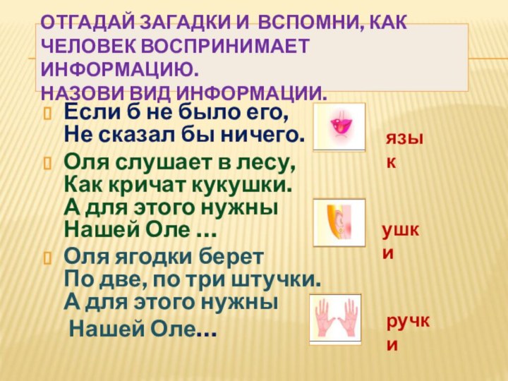 Отгадай загадки и вспомни, как человек воспринимает информацию.  Назови вид информации.Если