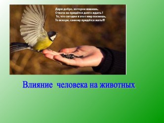 Презентация урока по биологии в 7 классе Влияние человека на животных