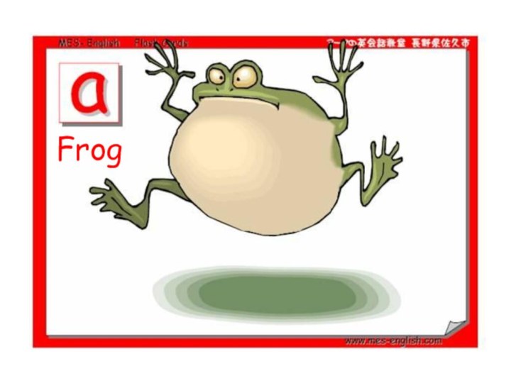 Frog