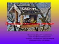 Презентация по внеурочной деятельности Поможем зимующим птицам