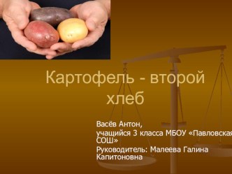 Презентация по окружающему миру на тему Картофель - второй хлеб