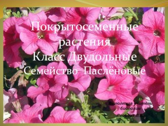 Презентация по биологии на тему Класс Двудольные. Семейство Пасленовые.