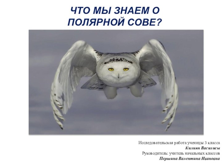 Что мы знаем о Полярной сове?Исследовательская работа ученицы 3 класса Килиян ВасилисыРуководитель: