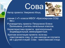 Проект по окружающему миру на тему: Сова.