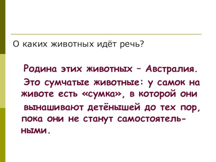 О каких животных идёт речь?	Родина этих животных – Австралия.	Это сумчатые животные: у