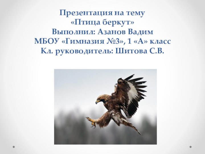 Презентация на тему «Птица беркут» Выполнил: Азанов Вадим МБОУ «Гимназия №3», 1