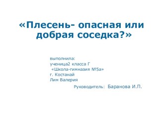 Презентация исследовательской работы Плесень