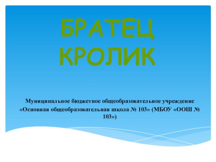 Братец кролик Муниципальное бюджетное общеобразовательное учреждение«Основная общеобразовательная школа № 103» (МБОУ «ООШ № 103»)