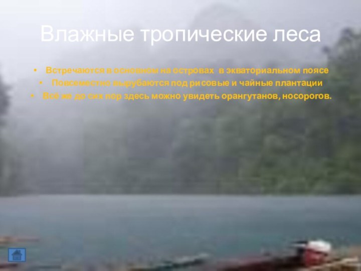 Влажные тропические лесаВстречаются в основном на островах в экваториальном поясеПовсеместно вырубаются под