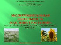 НОД по экспериментальной деятельности Как живут растения? для детей подготовительного дошкольного возраста