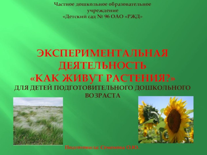 Экспериментальная деятельность  «Как живут растения?» для детей подготовительного дошкольного возраста Частное