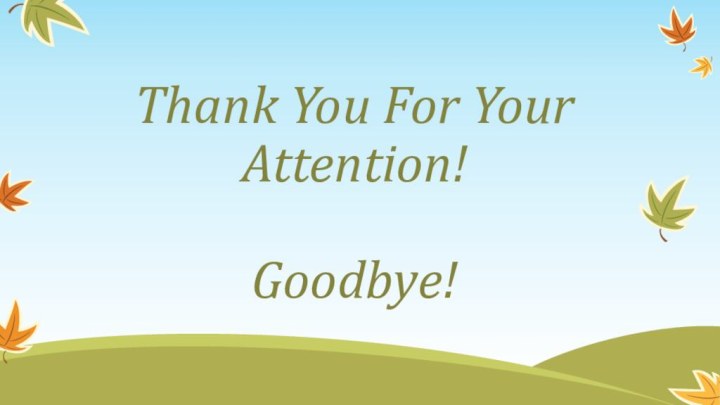 Thank You For Your Attention!  Goodbye!