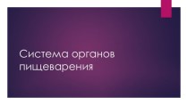 Презентация Система органов пищеварения