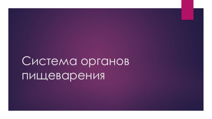 Система органов пищеварения