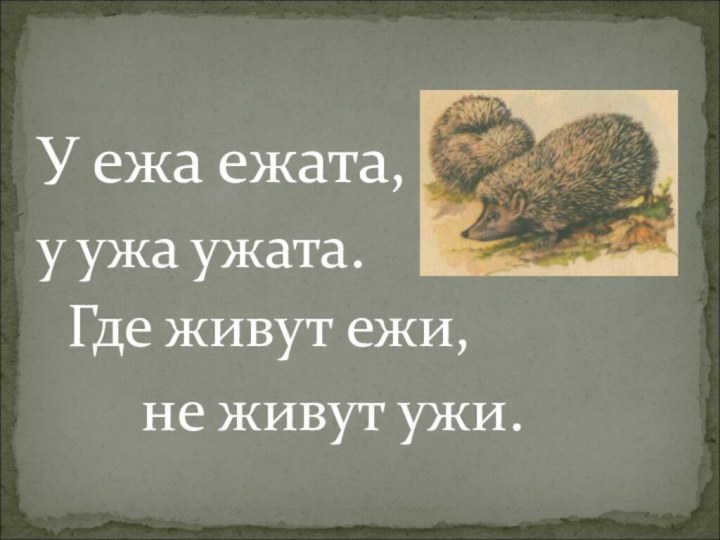 У ежа ежата,у ужа ужата. Где живут ежи,    не живут ужи.