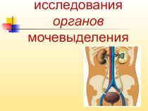 Презентация по пропедевтике в терапии Методы исследования мочевыделительной системы