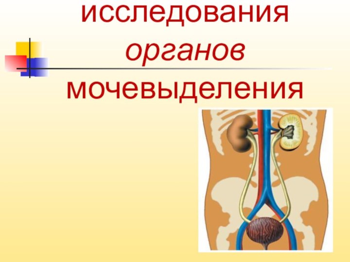 Методы исследования органов мочевыделения