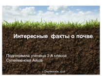 Презентация к уроку по Окружающему миру на тему: Почва. Интересные факты о почве,