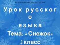 Презентация по русскому языку на тему Снежок
