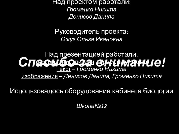 Над проектом работали: Громенко НикитаДенисов ДанилаРуководитель проекта:Ожуг Ольга ИвановнаНад презентацией работали:оформление, дизайн