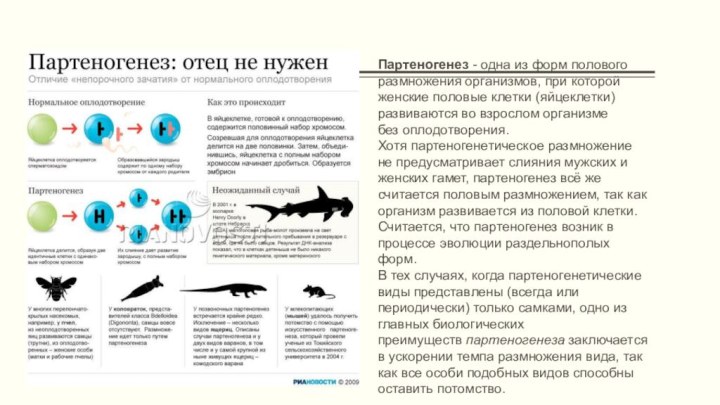 Партеногенез - одна из форм полового размножения организмов, при которой женские половые клетки (яйцеклетки) развиваются