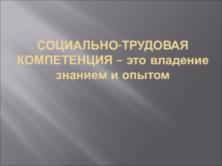 СОЦИАЛЬНО-ТРУДОВАЯ КОМПЕТЕНЦИЯ – это владение знанием и опытом