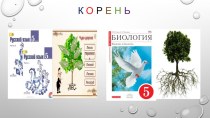 Презентация: Интегрированный урок по биологии и русскому языку Корни.