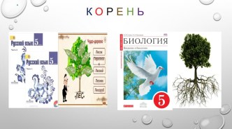 Презентация: Интегрированный урок по биологии и русскому языку Корни.