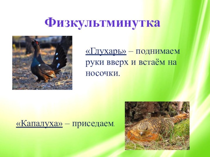 Физкультминутка«Глухарь» – поднимаем руки вверх и встаём на носочки.«Капалуха» – приседаем.